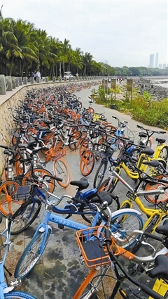 深圳市将规划共享单车停车区域 公交车站周边设点_社会_环球网